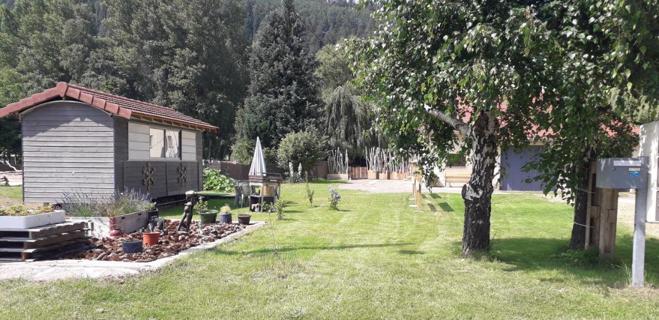 Gites, Les Jonquilles, Le Sagard Et Bungalow Les Brimbelles, Nature Et Detente La Houssiere Экстерьер фото